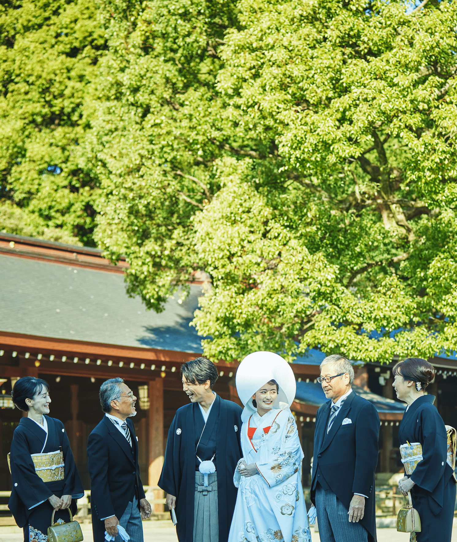 明治神宮 芸能人