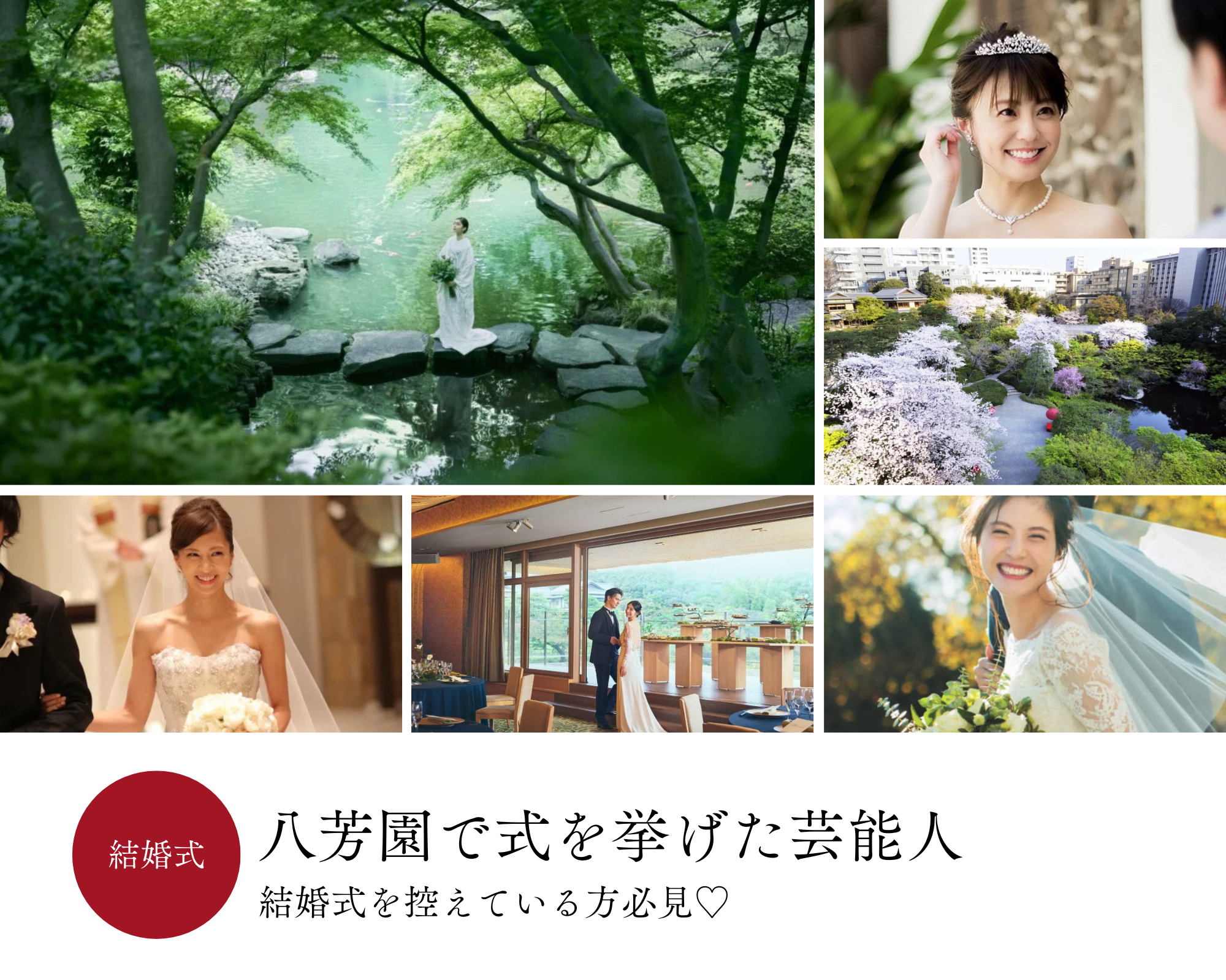 芸能人 結婚式